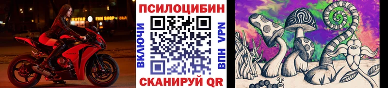 Псилоцибиновые грибы Cubensis  как найти закладки  Салават 