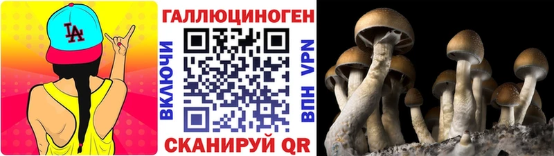 Псилоцибиновые грибы прущие грибы Салават